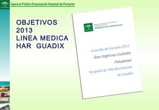 Agencia Pública Empresarial Hospital de Poniente
OBJETIVOS
2013
LINEA MEDICA
HAR GUADIX
 