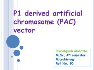 Pronabjyoti Mahatta.
M.Sc. 4th semester
Microbiology
Roll No. 10
P1 derived artificial
chromosome (PAC)
vector
 