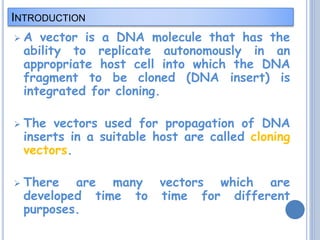 Pac Vector Structure Pac vector ppt | PPTX