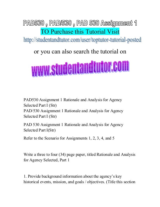Assignment 1 rationale and analysis for agency selected essay 06 picture