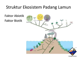 Struktur Ekosistem Padang Lamun
Faktor Abiotik
Faktor Biotik
 