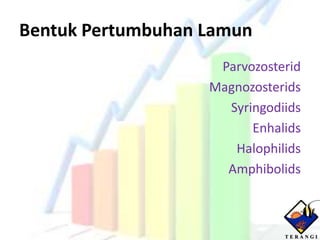 Bentuk Pertumbuhan Lamun
                    Parvozosterid
                   Magnozosterids
                     Syringodiids
                         Enhalids
                      Halophilids
                     Amphibolids
 