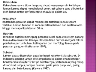 Kekeruhan
Kekeruhan secara tidak langsung dapat mempengaruhi kehidupan
lamun karena dapat menghalangi penetrasi cahaya yang dibutuhkan
oleh lamun untuk berfotosintesis masuk ke dalam air.
Kedalaman
Kedalaman perairan dapat membatasi distribusi lamun secara
vertikal. Lamun tumbuh di zona intertidal bawah dan subtidal atas
hingga mencapai kedalaman 30 m.
Nutrien
Dinamika nutrien memegang peranan kunci pada ekosistem padang
lamun dan ekosistem lainnya. Ketersediaan nutrien menjadi fektor
pembatas pertumbuhan, kelimpahan dan morfologi lamun pada
perairan yang jernih (Hutomo 1997).
Substrat
Lamun dapat ditemukan pada berbagai karakteristik substrat. Di
Indonesia padang lamun dikelompokkan ke dalam enam kategori
berdasarkan karakteristik tipe substratnya, yaitu lamun yang hidup
di substrat lumpur, lumpur pasiran, pasir, pasir lumpuran, puing
karang dan batu karang (Kiswara 1997).
 