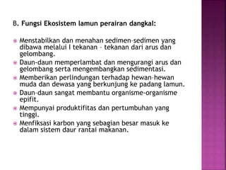 B. Fungsi Ekosistem lamun perairan dangkal:
 Menstabilkan dan menahan sedimen–sedimen yang
dibawa melalui I tekanan – tekanan dari arus dan
gelombang.
 Daun-daun memperlambat dan mengurangi arus dan
gelombang serta mengembangkan sedimentasi.
 Memberikan perlindungan terhadap hewan–hewan
muda dan dewasa yang berkunjung ke padang lamun.
 Daun–daun sangat membantu organisme-organisme
epifit.
 Mempunyai produktifitas dan pertumbuhan yang
tinggi.
 Menfiksasi karbon yang sebagian besar masuk ke
dalam sistem daur rantai makanan.
 