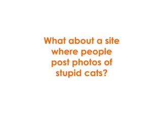 What about a site where people post photos of stupid cats? 