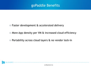 Faster development & accelerated delivery
More App density per VM & increased cloud efficiency
Portability across cloud layers & no vendor lock-in
(c) Bluemeric Inc
goPaddle Benefits
 