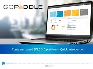 (c) Bluemeric Inc
Container based SDLC 3.0 platform - Quick Introduction
 