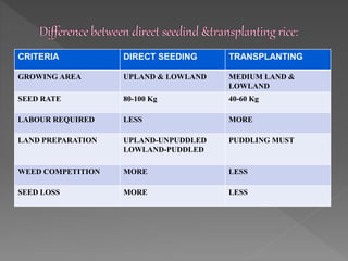 CRITERIA DIRECT SEEDING TRANSPLANTING
GROWING AREA UPLAND & LOWLAND MEDIUM LAND &
LOWLAND
SEED RATE 80-100 Kg 40-60 Kg
LABOUR REQUIRED LESS MORE
LAND PREPARATION UPLAND-UNPUDDLED
LOWLAND-PUDDLED
PUDDLING MUST
WEED COMPETITION MORE LESS
SEED LOSS MORE LESS
 