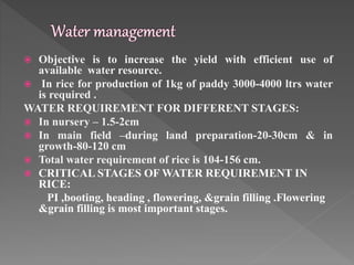  Objective is to increase the yield with efficient use of
available water resource.
 In rice for production of 1kg of paddy 3000-4000 ltrs water
is required .
WATER REQUIREMENT FOR DIFFERENT STAGES:
 In nursery – 1.5-2cm
 In main field –during land preparation-20-30cm & in
growth-80-120 cm
 Total water requirement of rice is 104-156 cm.
 CRITICAL STAGES OF WATER REQUIREMENT IN
RICE:
PI ,booting, heading , flowering, &grain filling .Flowering
&grain filling is most important stages.
 
