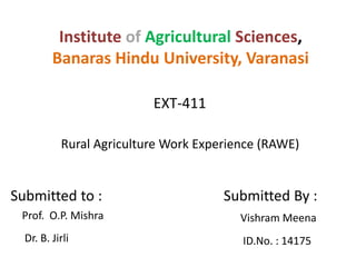 Institute of Agricultural Sciences,
Banaras Hindu University, Varanasi
EXT-411
Rural Agriculture Work Experience (RAWE)
Submitted to :
Prof. O.P. Mishra
Dr. B. Jirli
Submitted By :
Vishram Meena
ID.No. : 14175
 