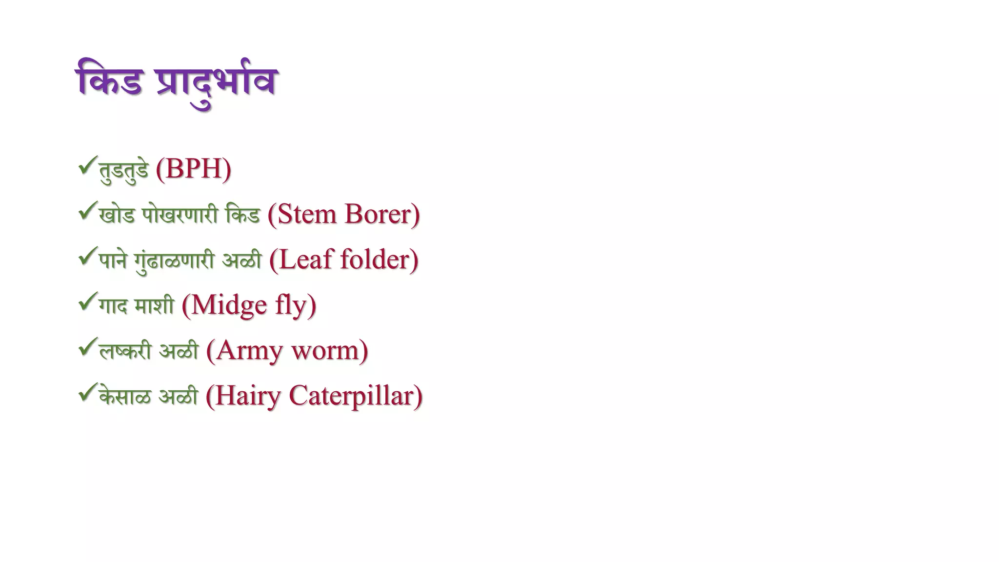 णकड प्रादुर्ााव
तुडतुडे (BPH)
खोड पोखरणारी मकड (Stem Borer)
पाने गुंढाळणारी अळी (Leaf folder)
गाद िाशी (Midge fly)
लष्करी अळी (Army worm)
के साळ अळी (Hairy Caterpillar)
 