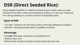 Paddy Cultivation Machinery (1).pptxffff | PPTX
