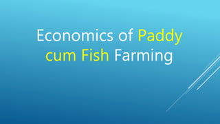 Economics of Paddy
cum Fish Farming
 