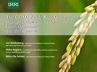 The CCAC Paddy Rice Component:
Highlights, Challenges, Lessons
Learnt, Opportunities
(July 2017 – June 2018)
Lini Wollenberg, CGIAR Research Program on Climate Change,
Agriculture and Food Security (CCAFS)
Akiko Nagano, Environmental Policy Office, Ministry of Agriculture,
Forestry and Fisheries (MAFF), Japan
Björn Ole Sander, International Rice Research Institute (IRRI)
 