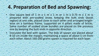 4. Preparation of Bed and Spawning:
• One square bed of 1 m x 1 m x 1 m or 1 m x 0.75 m x 1 m is
prepared with pre-soaked straw, keeping the butt ends (basal
region) at one side, placed close to each other and arranged length-
wise on a bamboo frame, supported on 4 pillars made of bricks.
Same number of soaked straw bundles are placed on the previous
one by keeping the butt ends in opposite direction.
• Inoculate the bed with spawn. The bids of spawn are placed about
8-10 cm inside the margin, maintaining a space of about 5 cm from
each other. About 160-200 grams spawn is required for each layer.
 