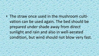 • The straw once used in the mushroom culti-
vation can be used again. The bed should be
prepared under shade away from direct
sunlight and rain and also in well-aerated
condition, but wind should not blow very fast.
 