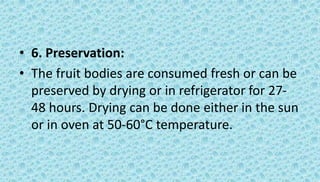 • 6. Preservation:
• The fruit bodies are consumed fresh or can be
preserved by drying or in refrigerator for 27-
48 hours. Drying can be done either in the sun
or in oven at 50-60°C temperature.
 