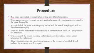 Paddystraw mushroom presentation | PDF