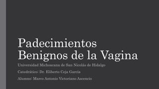 Padecimientos
Benignos de la Vagina
Universidad Michoacana de San Nicolás de Hidalgo
Catedrático: Dr. Eliberto Ceja García
Alumno: Marco Antonio Victoriano Ascencio
 