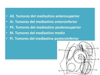 • AS. Tumores del mediastino anterosuperior 
• AI. Tumores del mediastino anteroinferior 
• PS. Tumores del mediastino posterosuperior 
• M. Tumores del mediastino medio 
• PI. Tumores del mediastino posteroinferior 
 