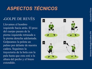 ASPECTOS TÉCNICOS
●GOLPE DE REVÉS
Llevamos el hombro
izquierdo hacia atrás. El peso
del cuerpo pasara de la
pierna izquierda retrasada a
la pierna derecha adelantada.
Golpeamos la pelota un
palmo por delante de nuestra
cadera. Seguimos la
trayectoria de la bola con la
pala hasta que esta esté a la
altura del pecho y el brazo
extendido.
 