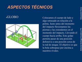 ASPECTOS TÉCNICOS
●GLOBO Colocamos el cuerpo de lado y
algo retrasado en relación a la
pelota. Justo antes del momento
del impacto flexionamos las
piernas y las extendemos en el
momento del impacto. Llevando el
cuerpo hacia arriba. Este golpe
permite pasar de una posición
defensiva a una posción cerca de
la red de ataque. El objetivo es que
la bola sobrepase por encima a
nuestros rivales.
 