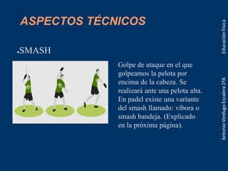 ASPECTOS TÉCNICOS
●SMASH
Golpe de ataque en el que
golpeamos la pelota por
encima de la cabeza. Se
realizará ante una pelota alta.
En padel existe una variante
del smash llamado: víbora o
smash bandeja. (Explicado
en la próxima página).
 