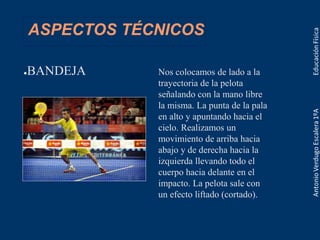 ASPECTOS TÉCNICOS
●BANDEJA Nos colocamos de lado a la
trayectoria de la pelota
señalando con la mano libre
la misma. La punta de la pala
en alto y apuntando hacia el
cielo. Realizamos un
movimiento de arriba hacia
abajo y de derecha hacia la
izquierda llevando todo el
cuerpo hacia delante en el
impacto. La pelota sale con
un efecto liftado (cortado).
 