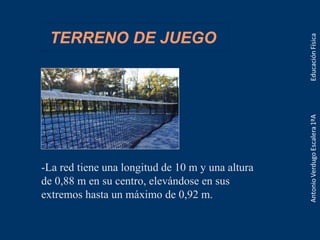TERRENO DE JUEGO
-La red tiene una longitud de 10 m y una altura
de 0,88 m en su centro, elevándose en sus
extremos hasta un máximo de 0,92 m.
 