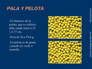PALA Y PELOTA
-El diámetro de la
pelota, que es esférica
debe medir entre 6,35
y 6,77 cm.
-Pesa de 56 a 59,4 g.
-La pelota es de goma
y puede ser verde o
amarilla.
 