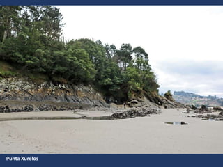 Punta Xurelos
 