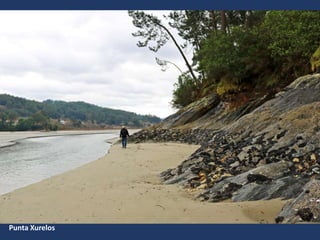 Punta Xurelos
 