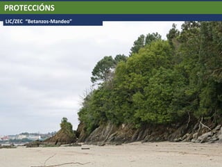 PROTECCIÓNS
LIC/ZEC “Betanzos-Mandeo”
 
