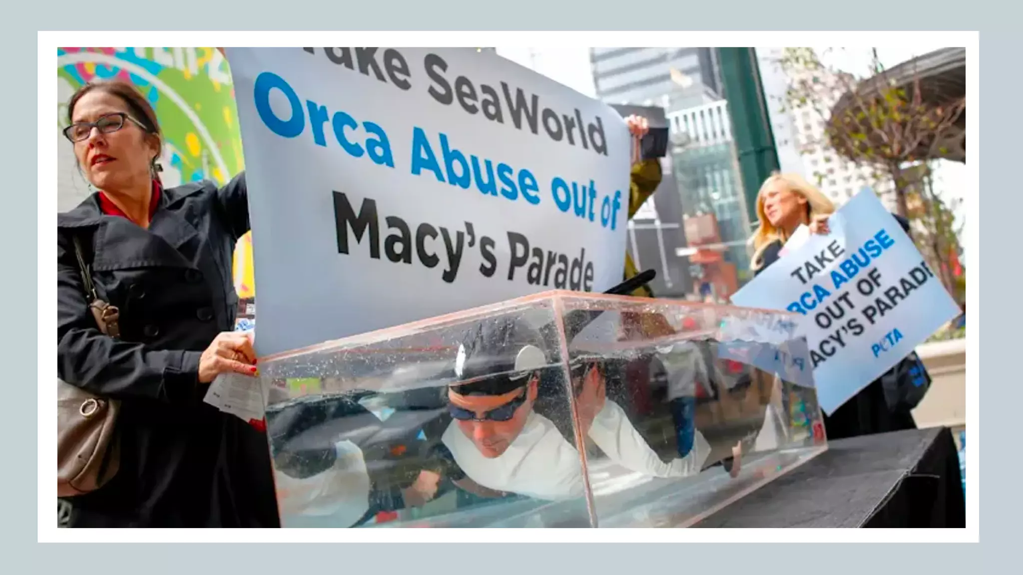 Blackfish Documentary Slide Show | PDF