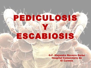 PEDICULOSIS
Y
ESCABIOSIS
Q.F. Alejandro Navarro Durán
Hospital Comunitario de
El Carmen
 