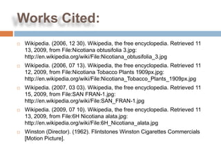 Works Cited:
   Wikipedia. (2006, 12 30). Wikipedia, the free encyclopedia. Retrieved 11
    13, 2009, from File:Nicotiana obtusifolia 3.jpg:
    http://en.wikipedia.org/wiki/File:Nicotiana_obtusifolia_3.jpg
   Wikipedia. (2006, 07 13). Wikipedia, the free encyclopedia. Retrieved 11
    12, 2009, from File:Nicotiana Tobacco Plants 1909px.jpg:
    http://en.wikipedia.org/wiki/File:Nicotiana_Tobacco_Plants_1909px.jpg
   Wikipedia. (2007, 03 03). Wikipedia, the free encyclopedia. Retrieved 11
    15, 2009, from File:SAN FRAN-1.jpg:
    http://en.wikipedia.org/wiki/File:SAN_FRAN-1.jpg
   Wikipedia. (2009, 07 10). Wikipedia, the free encyclopedia. Retrieved 11
    13, 2009, from File:6H Nicotiana alata.jpg:
    http://en.wikipedia.org/wiki/File:6H_Nicotiana_alata.jpg
   Winston (Director). (1962). Flintstones Winston Cigarettes Commercials
    [Motion Picture].
 