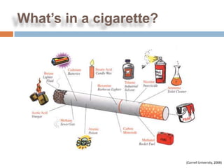 What’s in a cigarette?




                         (Cornell University, 2008)
 