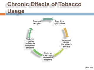 Chronic Effects of Tobacco
Usage
               Cerebral                 Cognitive
               Atrophy                 dysfunction




       Reduced
                                               Increased
       cognitive
                                                 risk of
      abilities in
                                              Alzheimer's
      adolescent
                                                disease
       smokers

                           Reduced
                          memory in
                          adolescent
                           smokers


                                                            (WHO, 2009)
 
