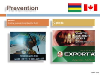 Prevention
Mauritius:
Smoking causes a slow and painful death.   Canada




                                                    (WHO, 2009)
 