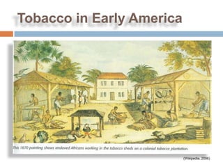 Tobacco in Early America




                           (Wikipedia, 2006)
 