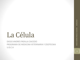 La Célula
DIEGO ANDRES PADILLA CAICEDO
PROGRAMA DE MEDICINA VETERINARIA Y ZOOTECNIA
U.D.C.A
24/04/2015DIEGOANDRESPADILLACAICEDO
1
 
