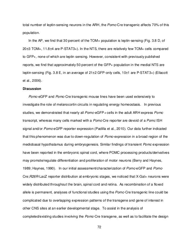 Padilla Columbia 0054 D