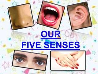 OUR
FIVE SENSES
 