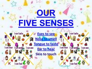 OUR
FIVE SENSES
     Eyes to see
    Nose to smell
   Tongue to taste
     Ear to hear
    Skin to touch
 