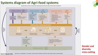 Agri-food systems, diets and nutrition: micro-level evidences with a gender perspective from selected locations in India