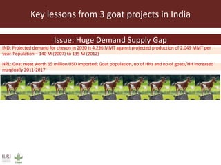 Key lessons to deliver successful goat development programs in South Asia 