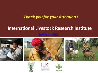 Scaling out research through innovation platforms (The MilkIT and imGoat projects, India)