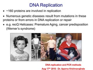 DNA Replication
 ~160 proteins are involved in replication
 Numerous genetic diseases result from mutations in these
pro...