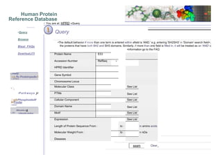 Human Protein
Reference Database
•Query
Browse
Blast FAQs
DowiloatJTI
•isrnerp
•1=6 flu Proteirrpedie I
.▪."••-••
•. ' n
...