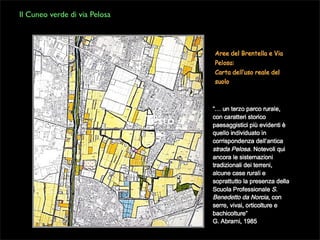 Il Cuneo verde di via Pelosa

Testo

 